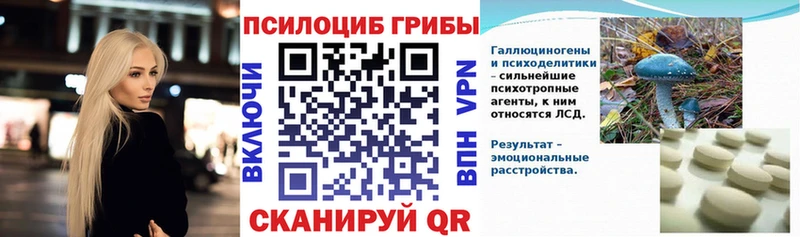 Псилоцибиновые грибы MAGIC MUSHROOMS  купить наркоту  Инза 